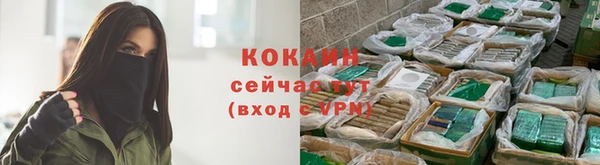 jwh Алзамай