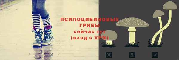 jwh Алзамай