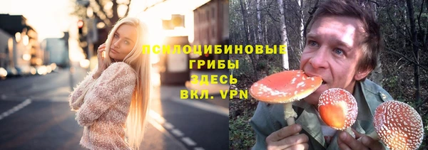 экстази Арсеньев