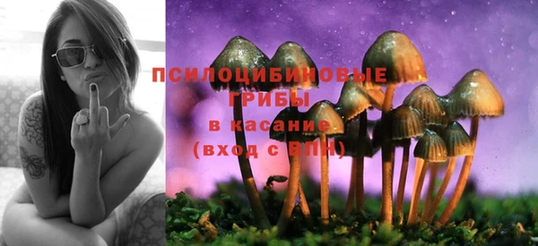 не бодяженный Алексин
